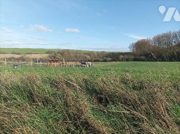 A VENDRE 4 TERRAINS A BATIR, de 1100 m²,  1265 m², 1216 m² et 1244 m², A PRECISER APRES BORNAGE.