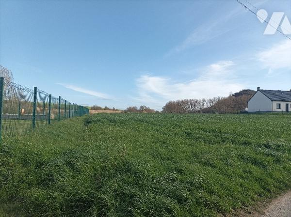 A VENDRE 4 TERRAINS A BATIR, de 1100 m²,  1265 m², 1216 m² et 1244 m², A PRECISER APRES BORNAGE.
