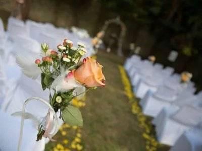 Restaurant / Authentique et charmante guinguette des bords de Marne