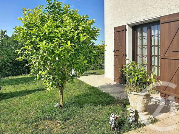 Maison à vendre  7 pièces - 244,55 m 2   CERET  - 66