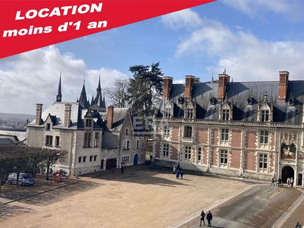 APPARTEMENT F1 / STUDIO MEUBLE A LOUER EN COURTE DUREE - A BLOIS - BELLES PRESTATIONS - VUE SUR CHÂTEAU & LOIRE