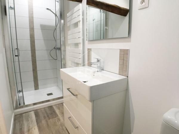 APPARTEMENT F1 / STUDIO MEUBLE A LOUER EN COURTE DUREE - A BLOIS - BELLES PRESTATIONS - VUE SUR CHÂTEAU & LOIRE