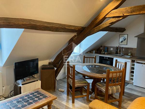 APPARTEMENT F1 / STUDIO MEUBLE A LOUER EN COURTE DUREE - A BLOIS - BELLES PRESTATIONS - VUE SUR CHÂTEAU & LOIRE