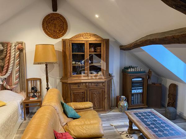 APPARTEMENT F1 / STUDIO MEUBLE A LOUER EN COURTE DUREE - A BLOIS - BELLES PRESTATIONS - VUE SUR CHÂTEAU & LOIRE