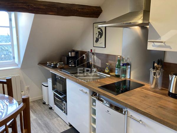 APPARTEMENT F1 / STUDIO MEUBLE A LOUER EN COURTE DUREE - A BLOIS - BELLES PRESTATIONS - VUE SUR CHÂTEAU & LOIRE