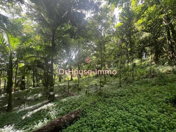 Terrain à vendre de 826 m²