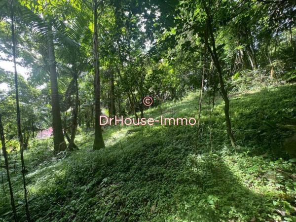 Terrain à vendre de 826 m²