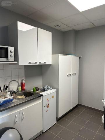Entrepôt à louer à Arques dans le Pas-de-Calais (62510), ref : E62AR291