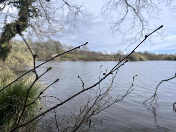  A VENDRE A THEIX-NOYALO - CADRE EXCEPTIONNEL MAISON de 1976