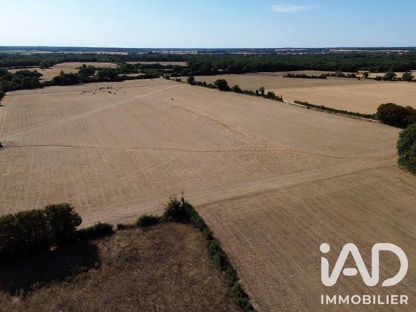 Terrain à vendre 2 690 m² Vivonne