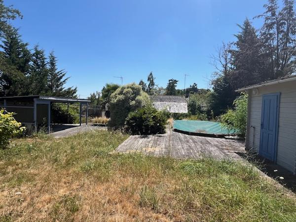 Bouchemaine (49080) BORD DE LOIRE