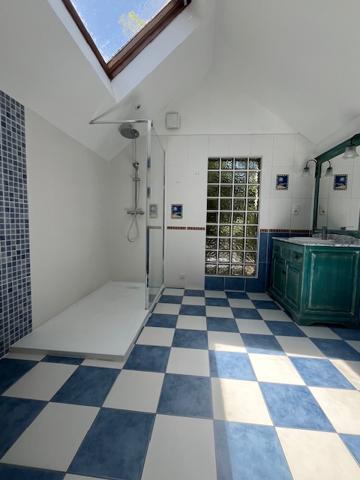 Bouchemaine (49080) BORD DE LOIRE