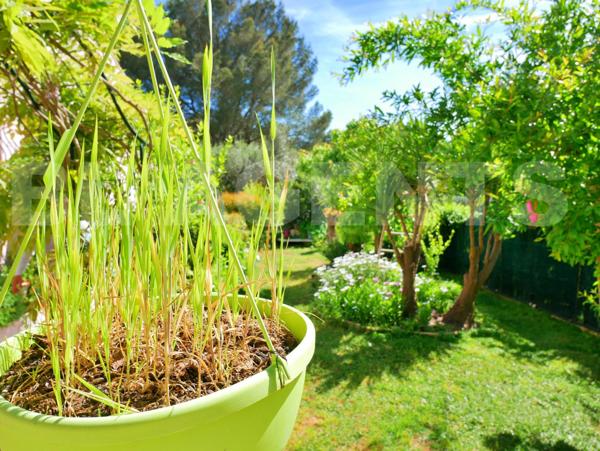 maison/villa 8 pièce(s) 137 m2