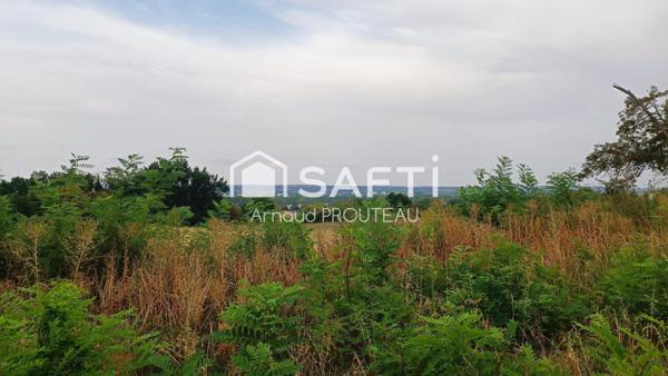 Terrain viabilisé - Vue - Plat