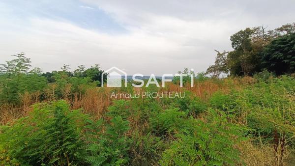 Terrain viabilisé - Vue - Plat