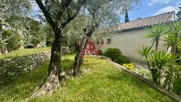 Magagnosc co-exclusivité, propriété avec piscine et pool House grand garage terrain de 3000m2 avec oliviers  Grasse (06520)