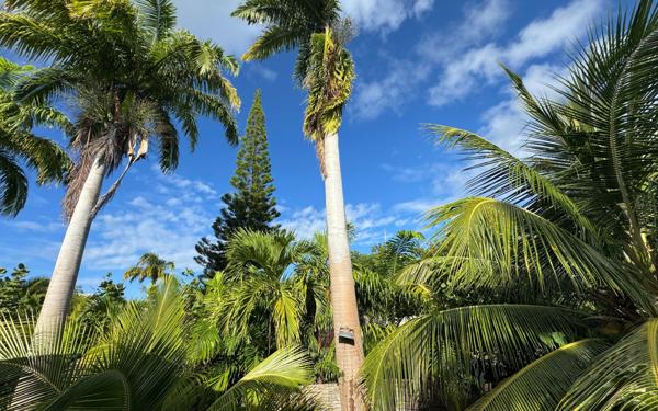 Maison à vendre    3 pièces • 71 m2 Saint-François