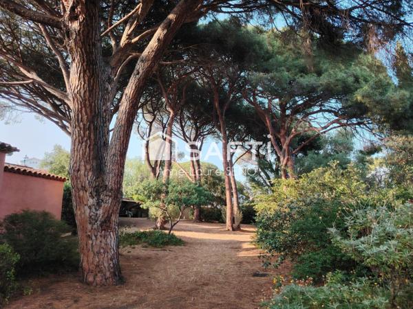 VILLA AVEC PISCINE PROCHE CENTRE VILLE AVEC GRAND TERRAIN