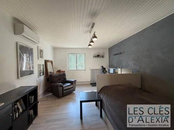Maison de ville Vernaison 180m² - local commercial