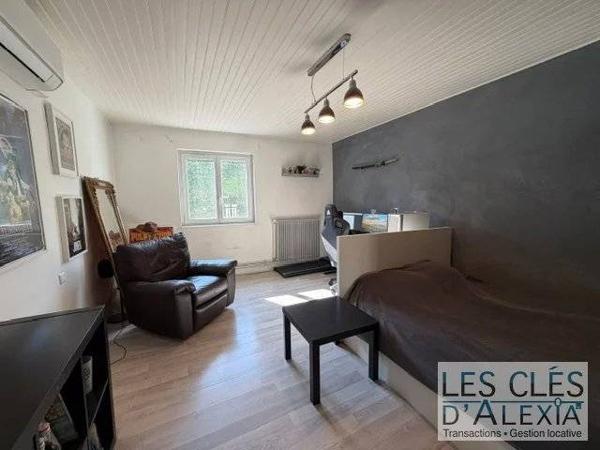 Maison de ville Vernaison 180m² - local commercial
