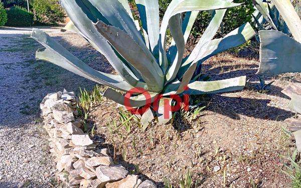 Maison à vendre    3 pièces •  Calvisson