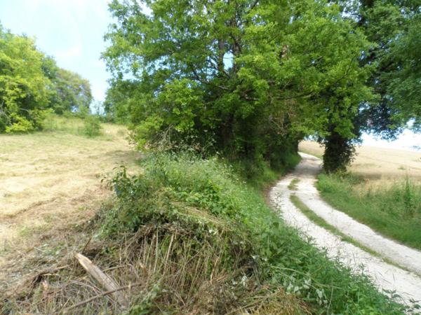 Terrain Constructible Idéalement Situé à Vendre