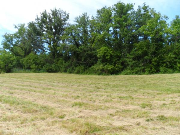Terrain Constructible Idéalement Situé à Vendre
