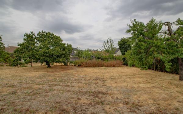 Terrain à vendre