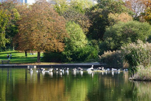 Nanterre (92000) Nanterre Préfecture La Défense Parc 4 pièces + 2 balcons + box fermé 451 500 €