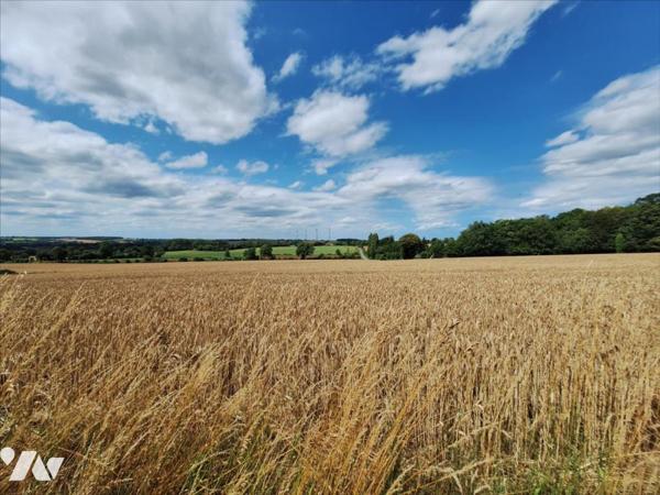 Maison T10 La Vacquerie
