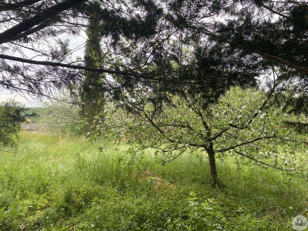 Grange en pierre avec jardin et ancienne piscine