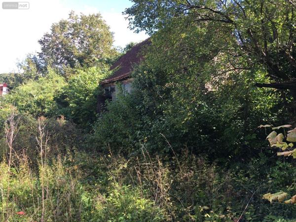 Maison à restaurer à vendre à Argy dans l'Indre (36500), ref : 1044550