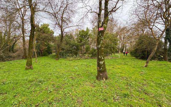 Maison à vendre    5 pièces •  Grimaud