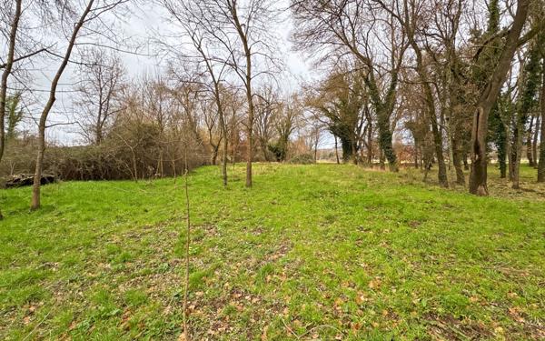 Maison à vendre    5 pièces •  Grimaud