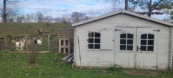 Saint-Méard-de-Drône (24600) Maison à vendre DPE B 127 m² habitable, 3 chambres, terrain 2439 m², Dordogne, secteur Tocane Saint Apre Ribér