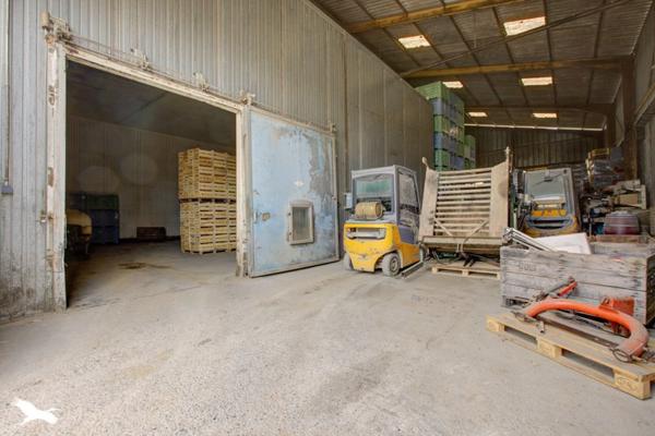Maison à vendre 293 216 € Sainte-Féréole 5 p 112 m² DPE F