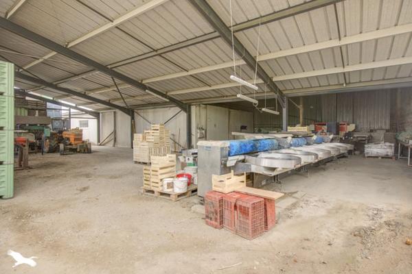 Maison à vendre 293 216 € Sainte-Féréole 5 p 112 m² DPE F