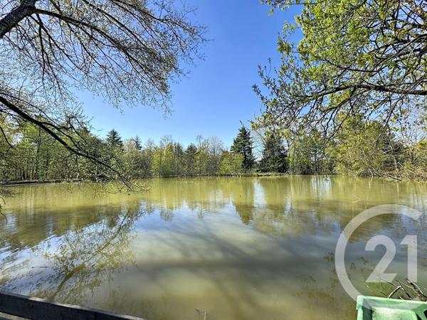 Maison à vendre  9 pièces - 162,60 m2 VOUZON - 41