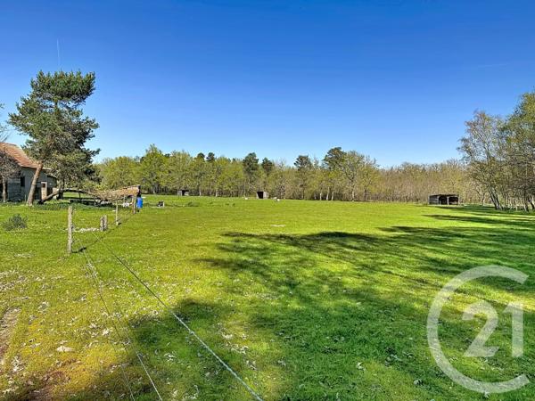 Maison à vendre  9 pièces - 162,60 m2 VOUZON - 41