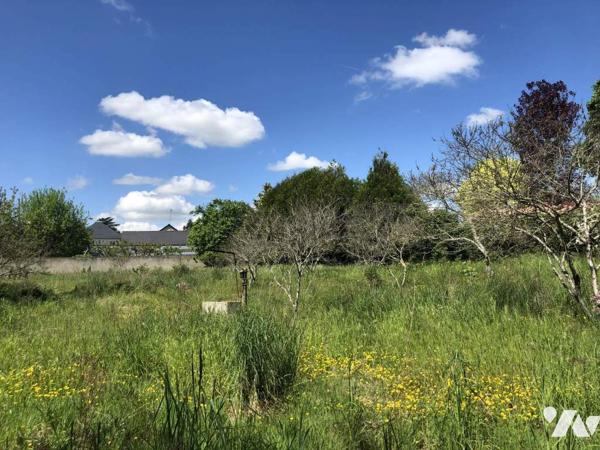 Terrain d'environ 2000 m²