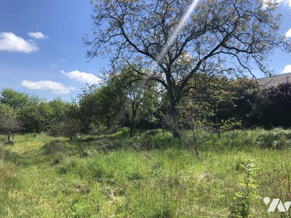 Terrain d'environ 2000 m²