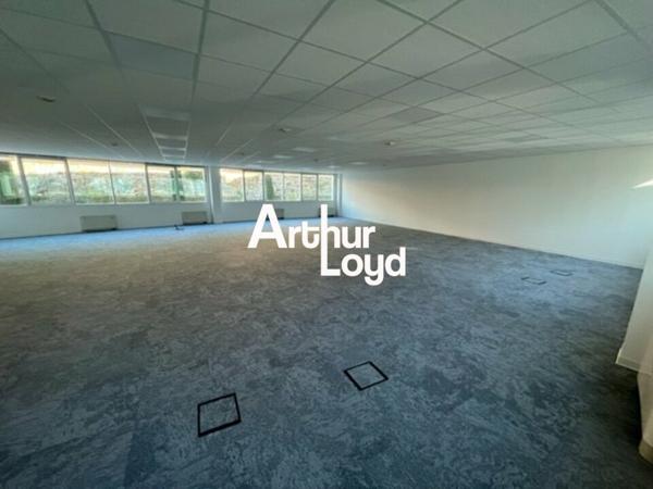 Bureaux rénovés à louer divisibles dès 184 m² - Sophia Antipolis