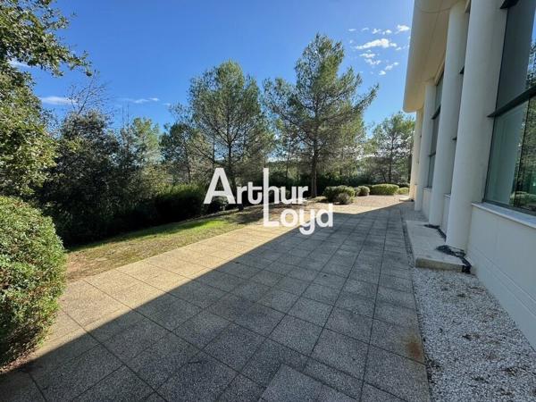 Bureaux rénovés à louer divisibles dès 184 m² - Sophia Antipolis
