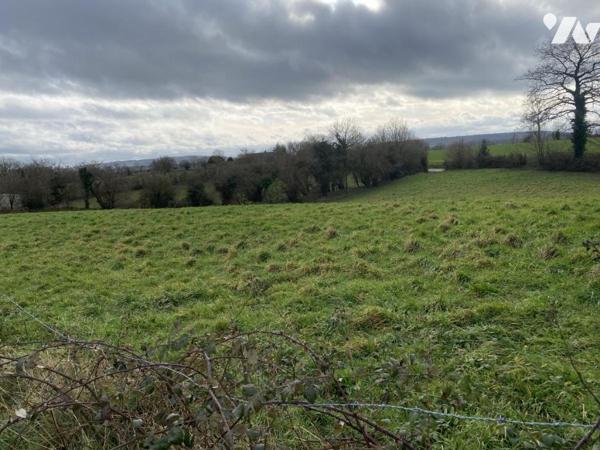 PROCHE A84 BOURG DE LA FERRIERE TERRAIN A BATIR 