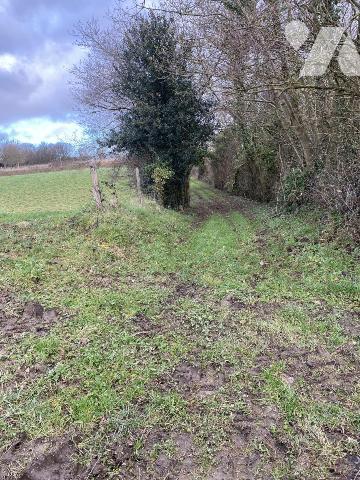 PROCHE A84 BOURG DE LA FERRIERE TERRAIN A BATIR 