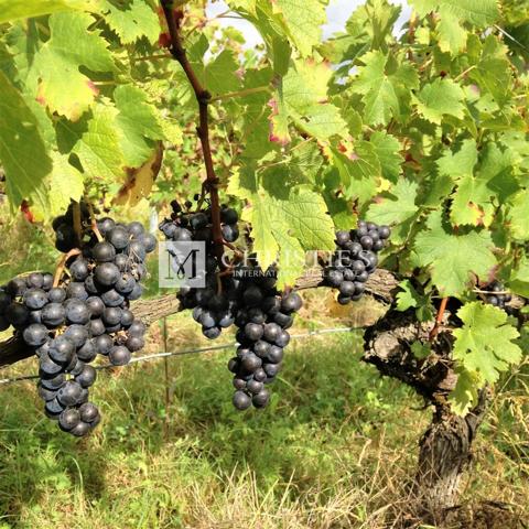 Charmante propriété près de Libourne : habitation girondine, dépendances, et vignes BIO