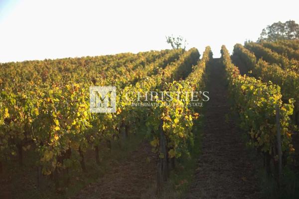Charmante propriété près de Libourne : habitation girondine, dépendances, et vignes BIO