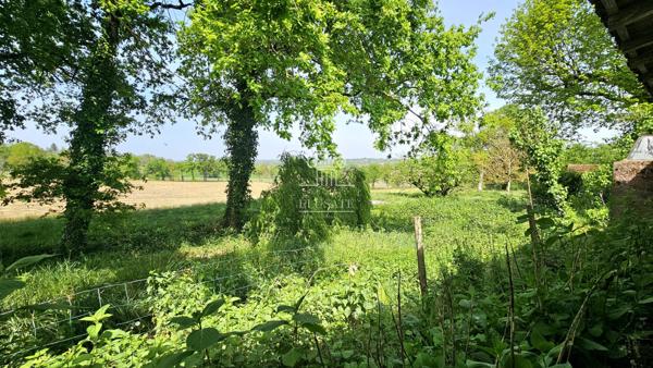 Nogaro (32110) MAISON T11 - 300M² EN CAMPAGNE AVEC TERRAIN D'1HA ET DEPENDANCE / PROCHE NOGORO