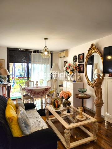 Appartement 3 pièces - 50 m²