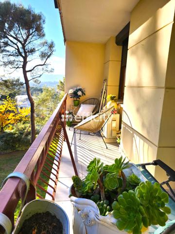 Appartement 3 pièces - 50 m²